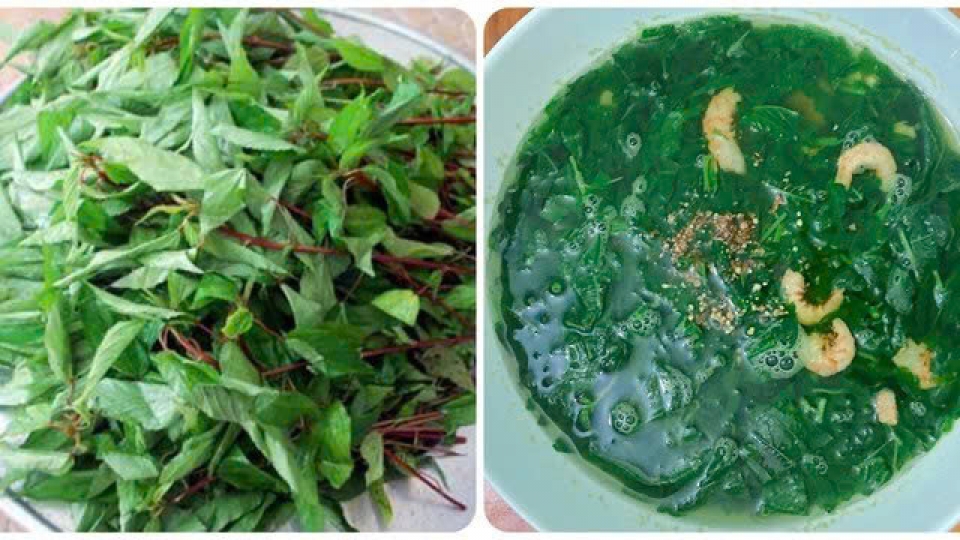canh_rau_day.jpg