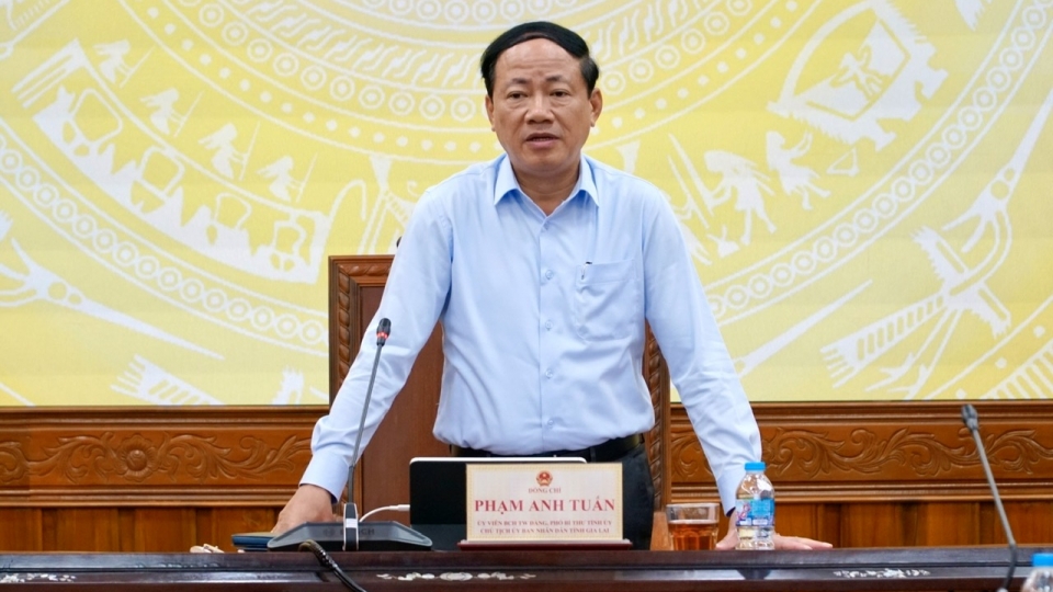chu_tic_tinh_gia_lai_hop_khan-_anh_2.jpg