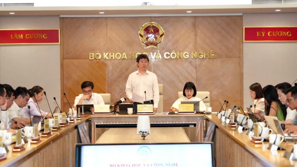 hop_bao_11.jpg