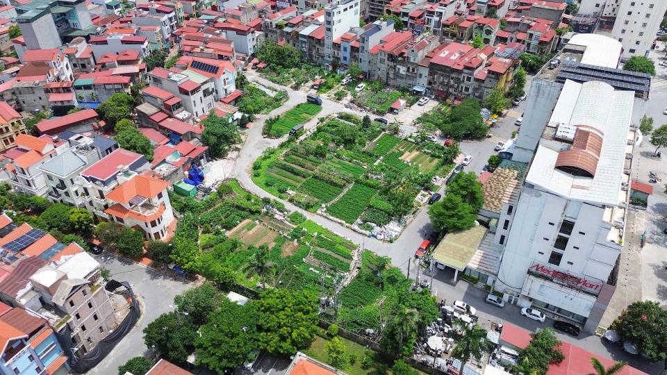 nguoi_dan_nhan_dat_5.jpg