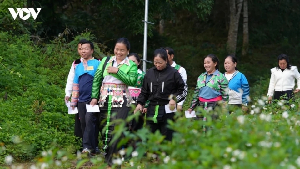 thanh hoa bau cu.jpg