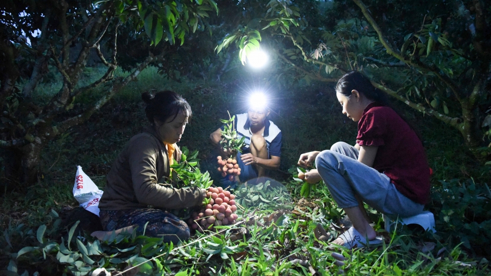 vai_thieu_bac_ninh_5.jpg