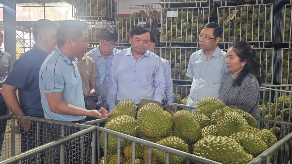 8-7-sau-rieng.jpg