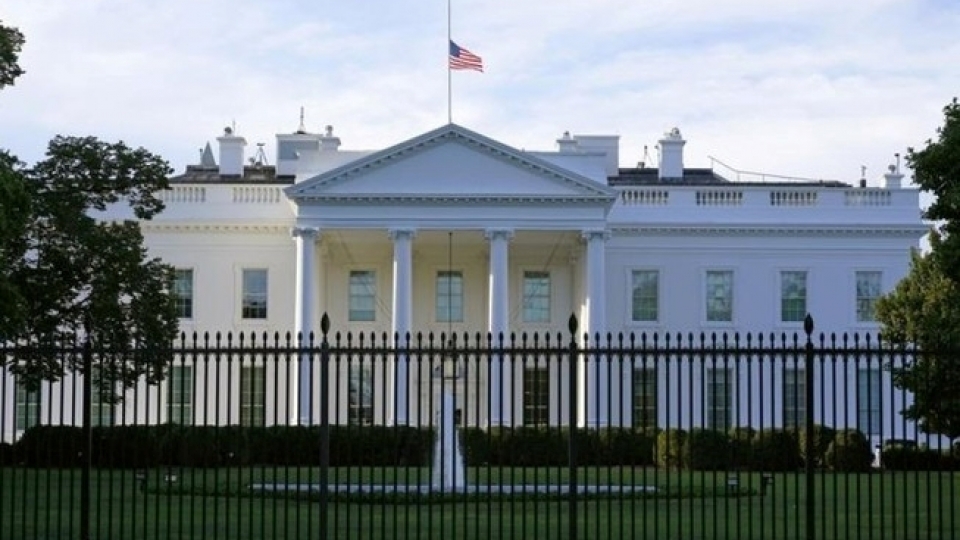 800_lkzu_thumb.jpg