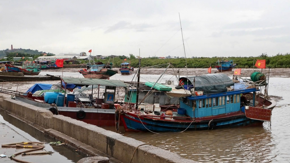 Tàu thuyền về tránh trú tại cảng cá Ngọc Hải, phường Đồ Sơn, Hải Phòng..jpg