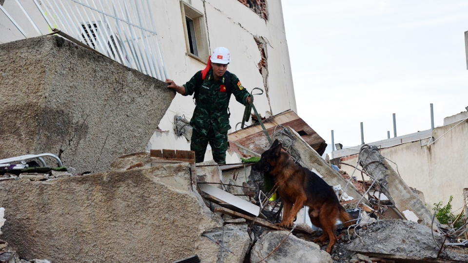 Vietnamese military working dogs excel in Venezuela quake rescue mission 1.jpg