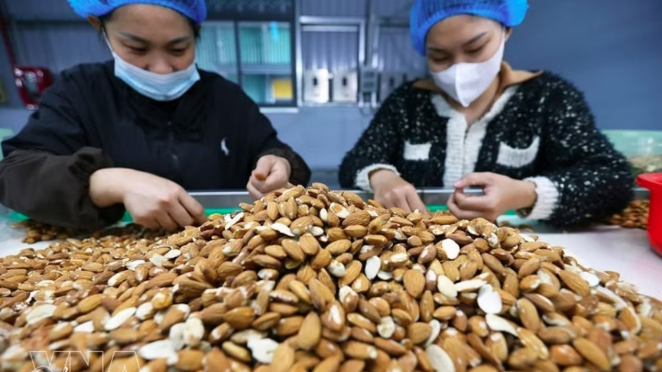 almond process.jpg