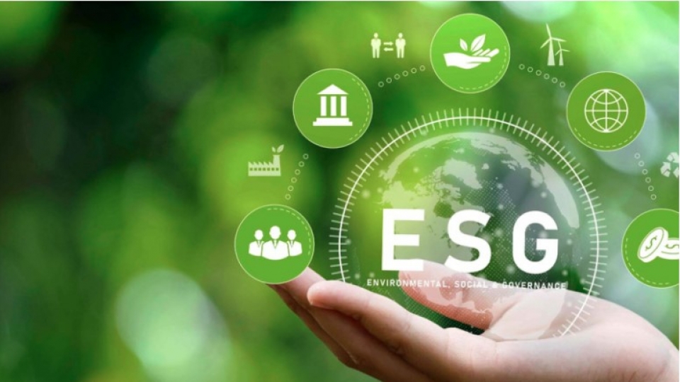 esg.jpg