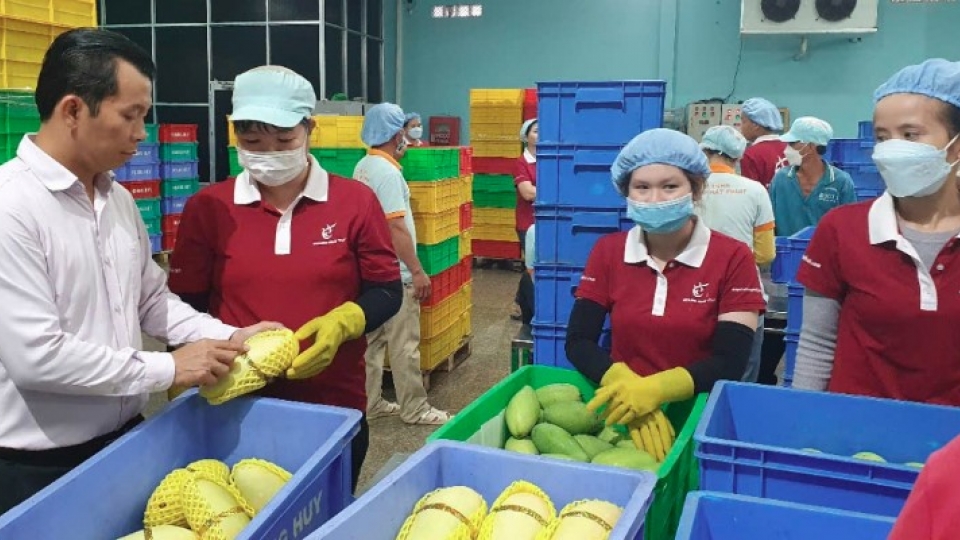 fruit-ngoai.jpg