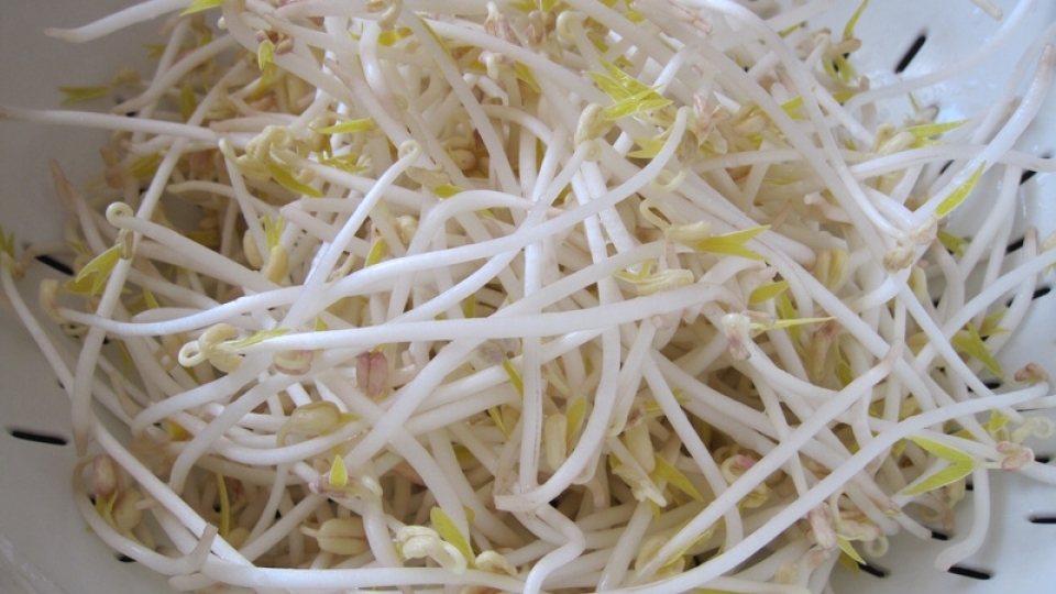 gia_do_chua_khan_tieng.jpg