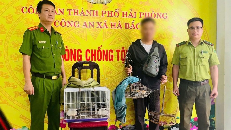 giu-doi-tuong-bay-chim-hoang-da.jpg