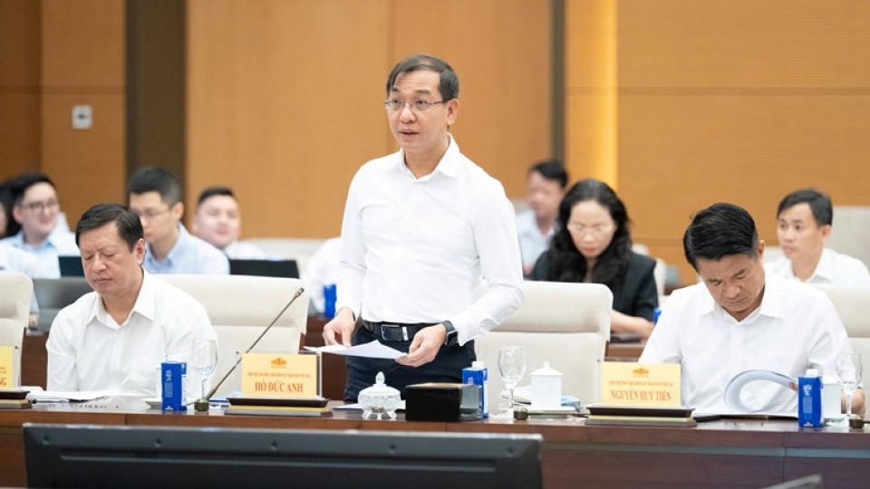 ho-duc-anh.jpg
