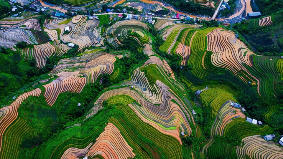 lao-cai-noi-hoi-tu-sac-mau-tay-bac.jpg