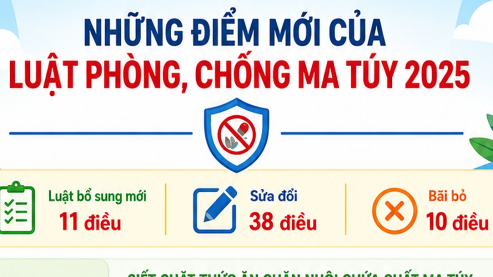 luat ma tuy 2025 bia.png