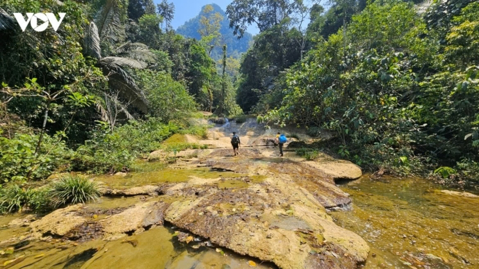 Phong Nha-Ke Bang among UNESCO's 14 new biosphere reserves