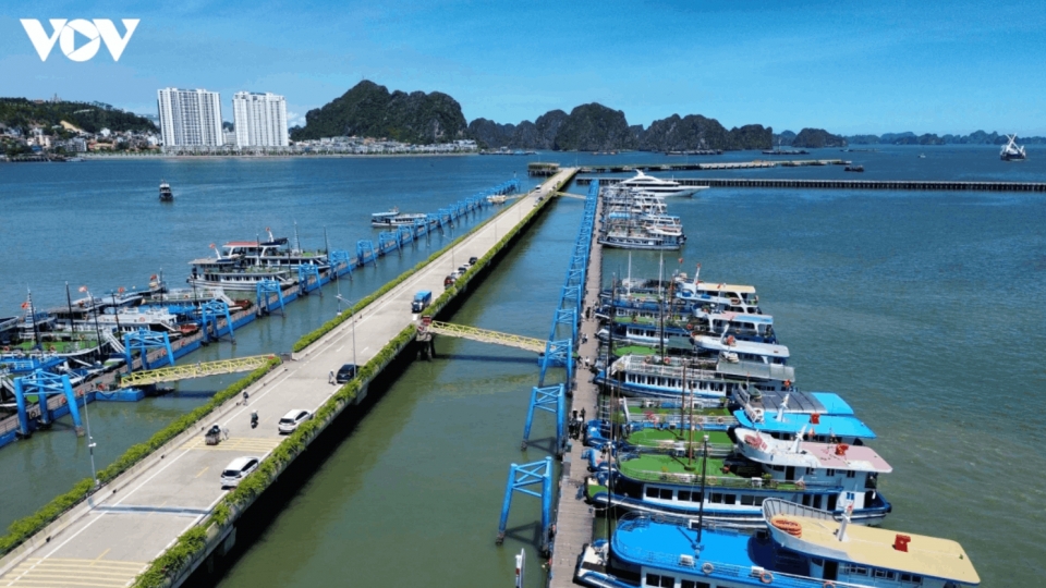 quang-ninh-vov-1.png