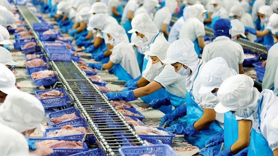 seafood.jpg