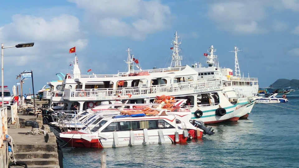 tai-nan-thuy.jpg