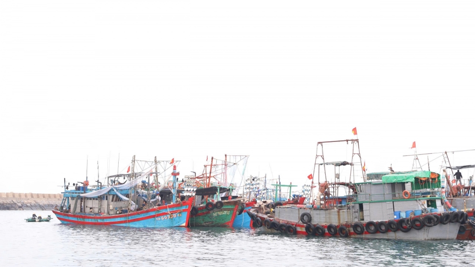 tranh_bao_1.jpg