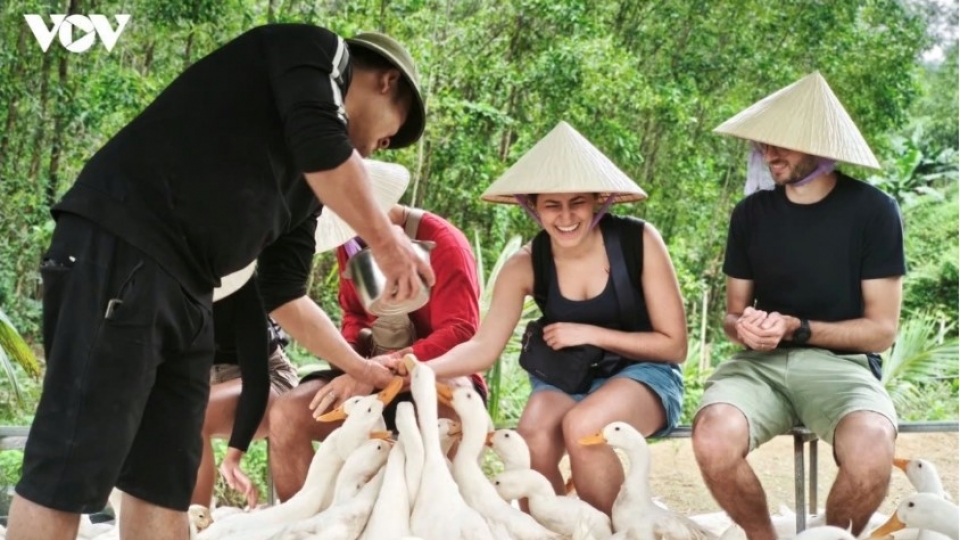 vietnam-sees-15-jump-in-international-visitors-during-first-half-of-2026-cover-photo.jpg