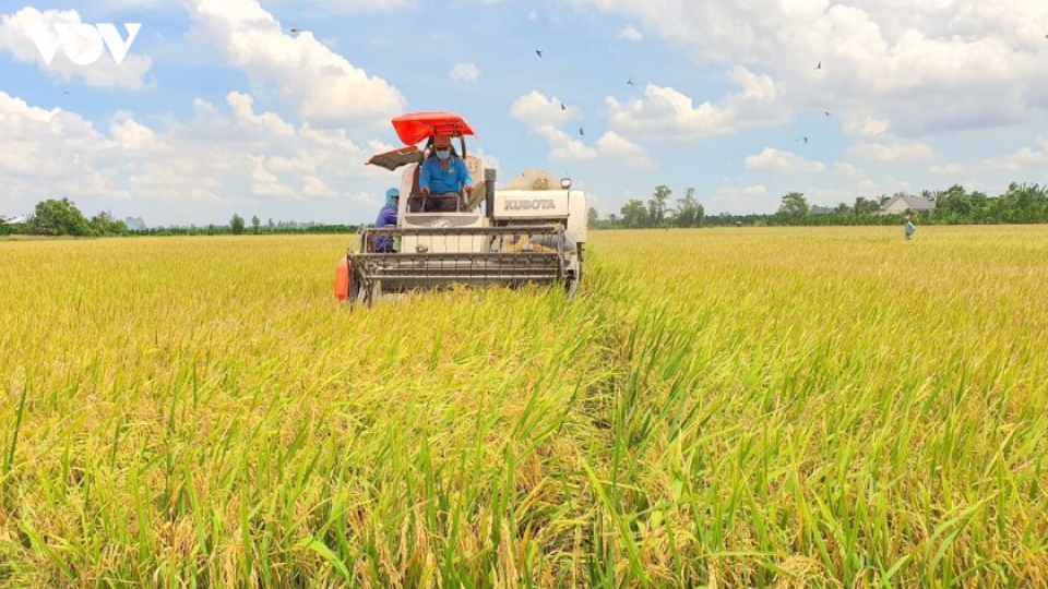 agricultural-development-cover-photo.jpg