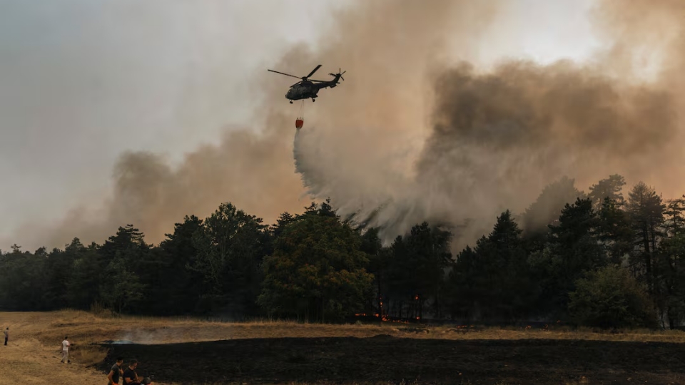 anh_theo_reuters_20260823040524.jpg