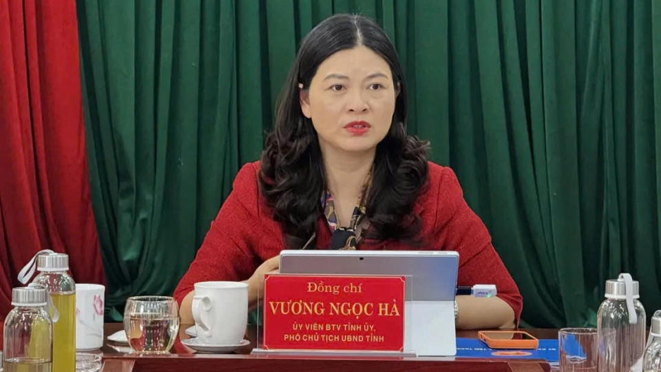 ba-vuong-ngoc-ha.jpg
