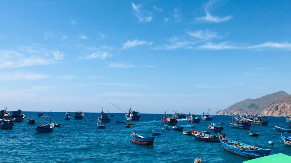 bien-quy-nhon-viet-nam.jpg