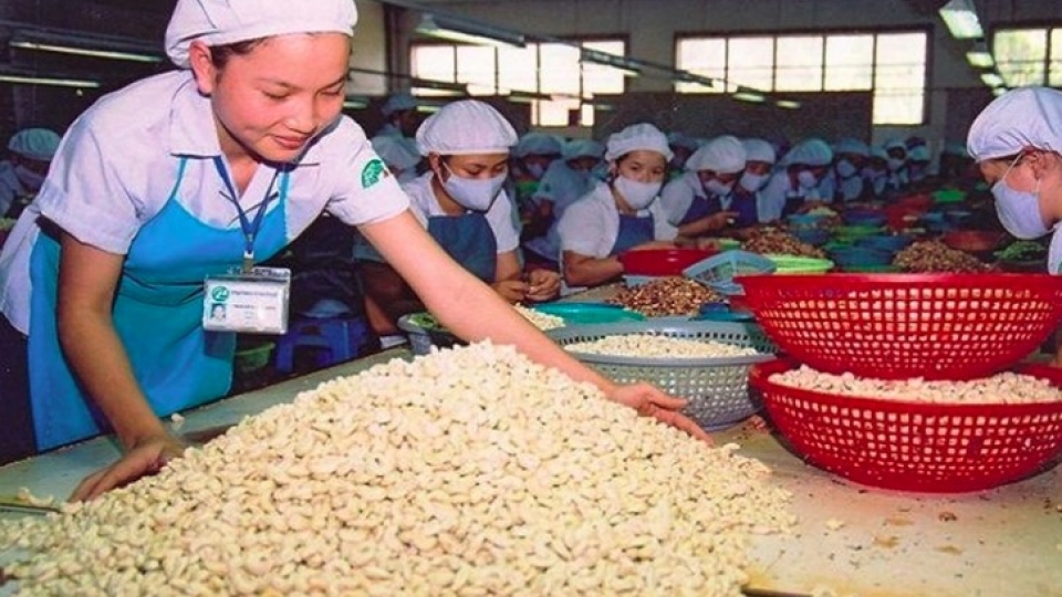 cashew.jpg