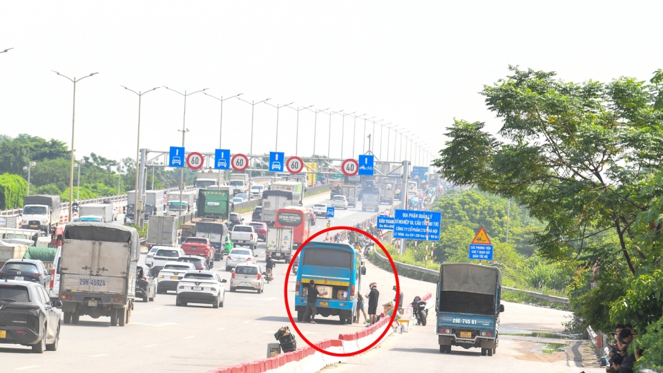 cau-thanh-tri-4147a.jpg