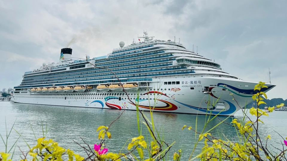 cruise-ship-dock-ha-long.jpg
