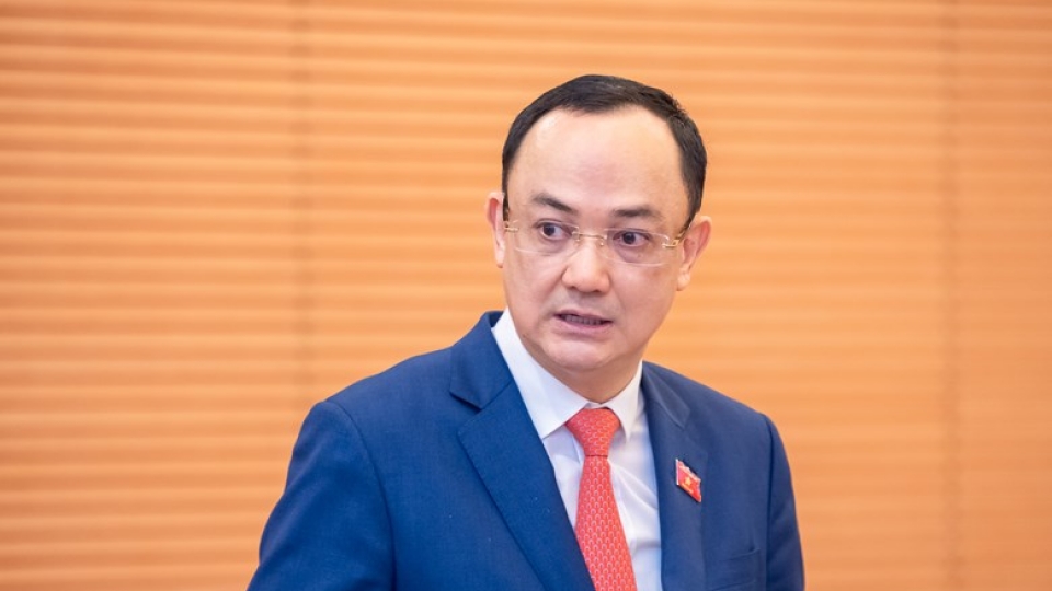dai-bieu-nguyen-ngoc-son.jpg