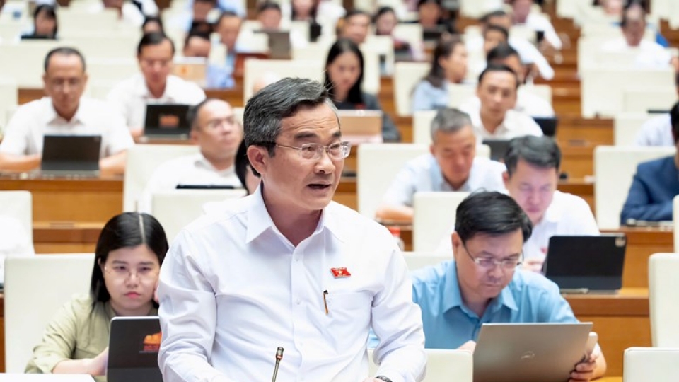 dai-bieu-nguyen-phi-hung-da-nang.jpg
