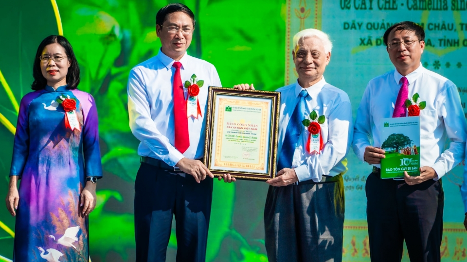 don-nhan-cay-di-san.jpg