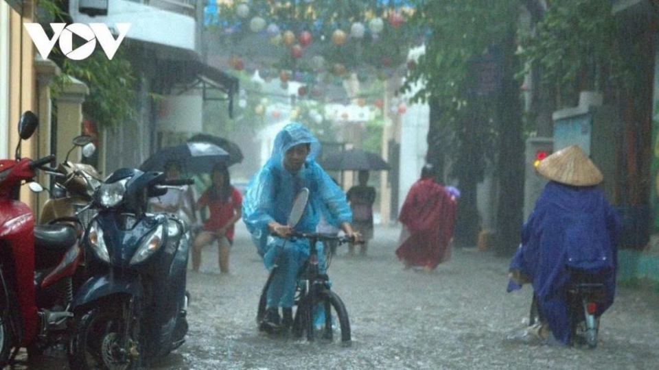 hanoi-mua-to.jpg