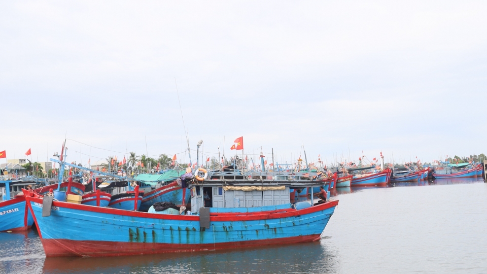 iuu-01.jpg