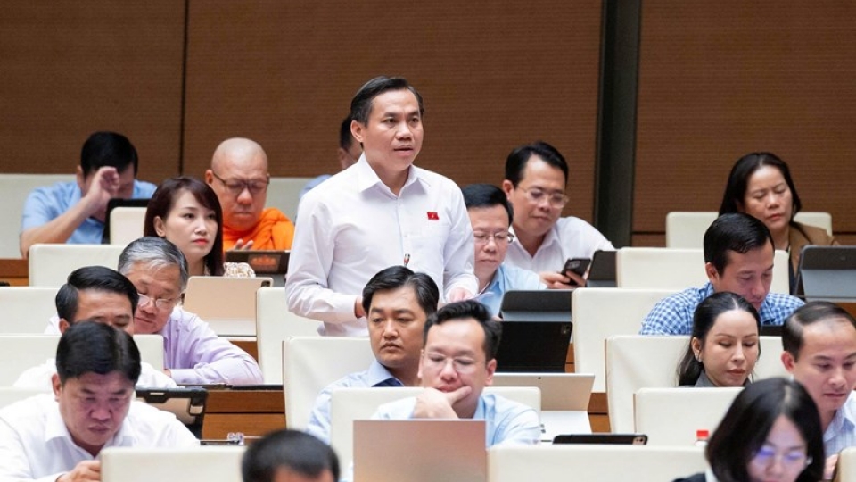 le-cong-dinh.jpg