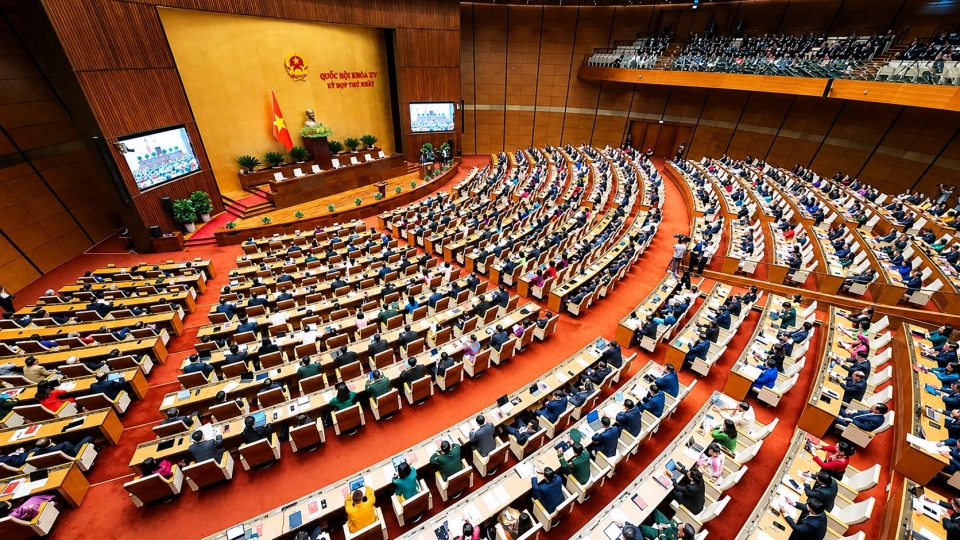 national-assembly-vietnam-lawmakers-1.jpg