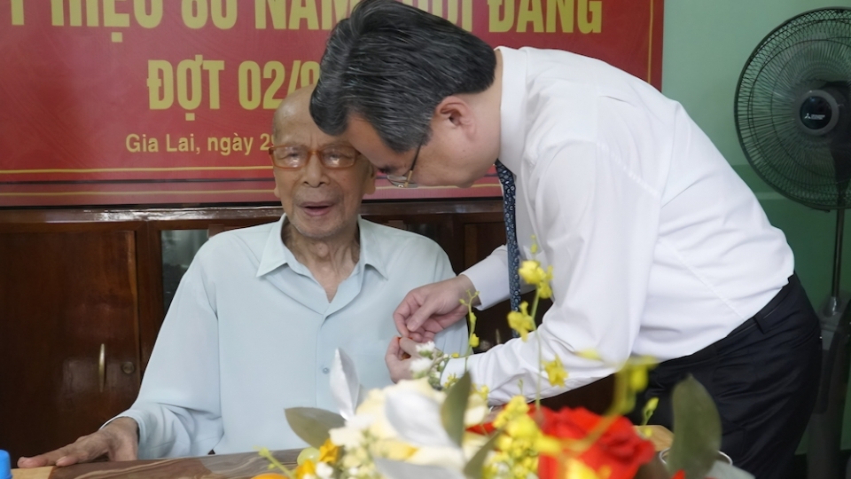 ong-nguyen-thanh-nghi-trao-huy-hieu-80-nam-tuoi-dang-anh-2.jpg