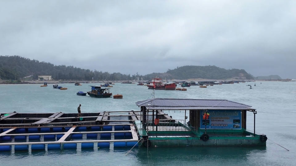 quang_ninh_khac_phuc_sat_lo_7_20260822215346.jpg