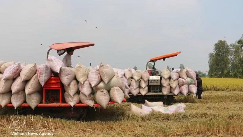 rice-exports.jpg