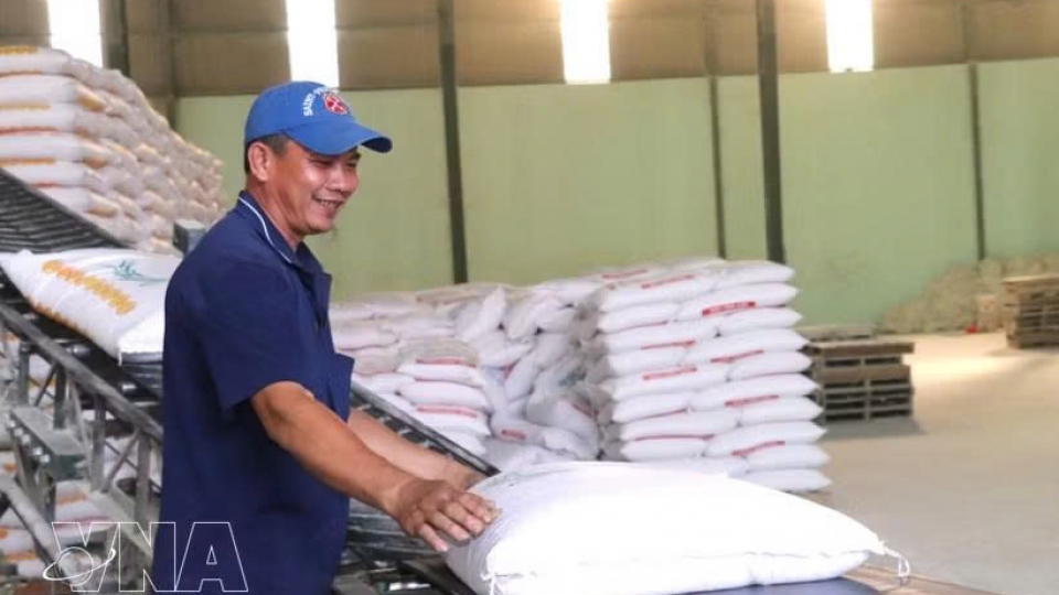rice-exports_1.jpg