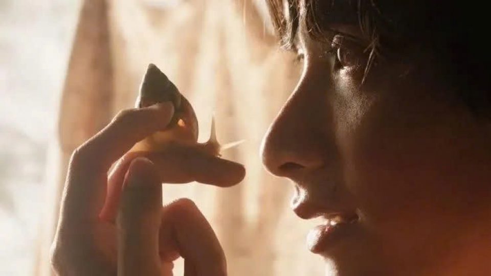 the-dream-is-a-snail.jpg