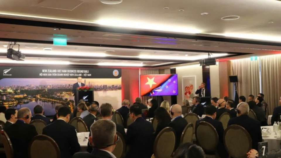 the-new-zealand-vietnam-business-roundtable.jpg