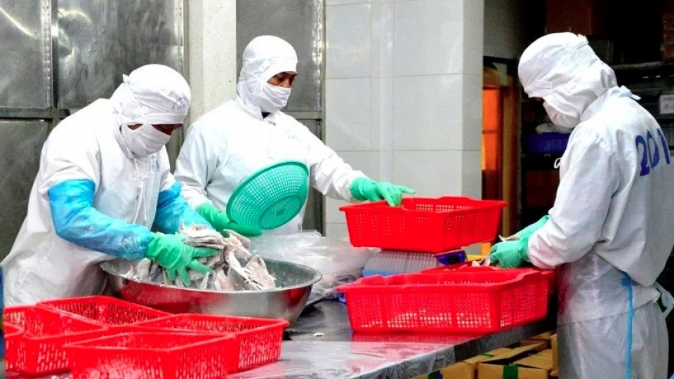 vietnamese-agrifood-exporters-urged-to-secure-haccp-iso-22000-certifications.jpg