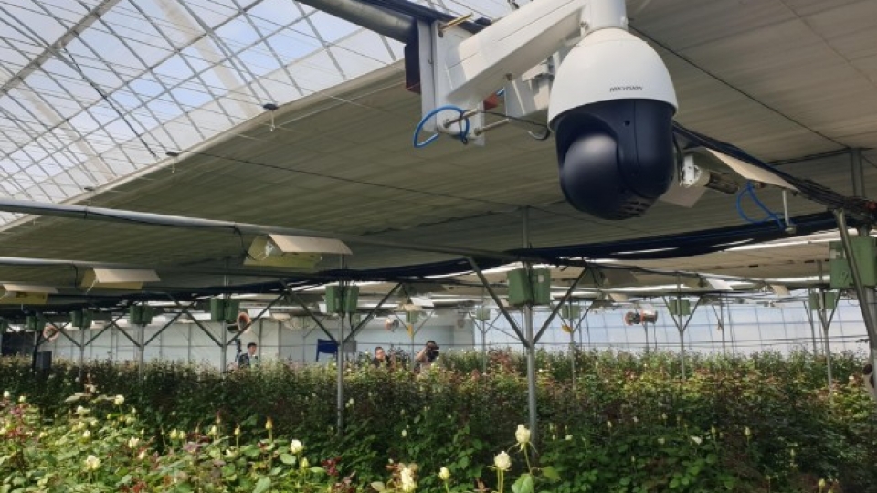 a-smart-farming-equipped-flower-greenhouse-in-goyang-north-of-seoul.jpg