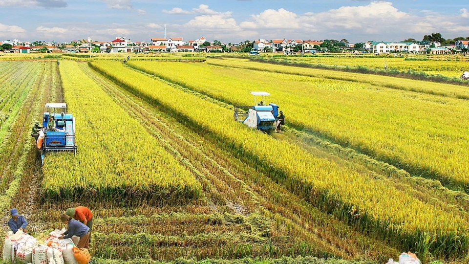 agriculture.jpg