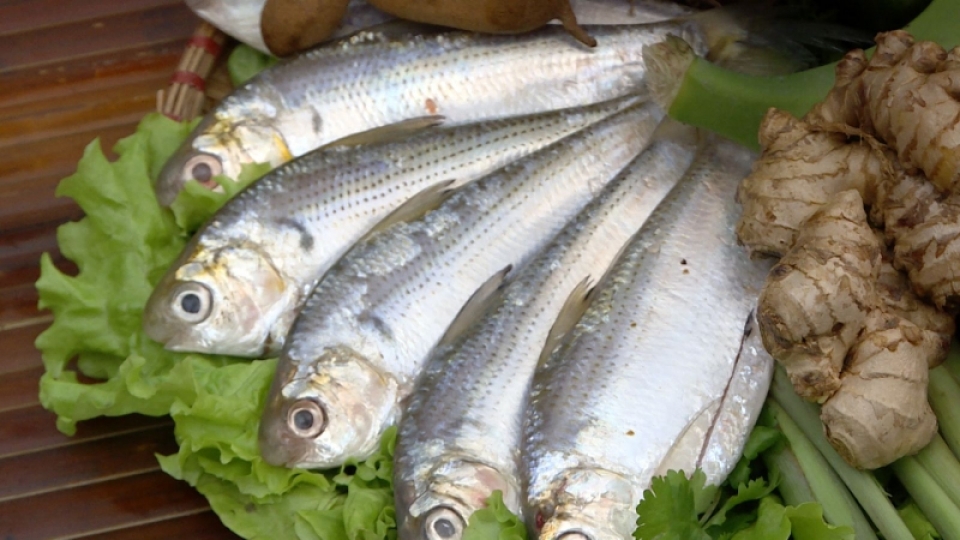 ca-moi.jpg