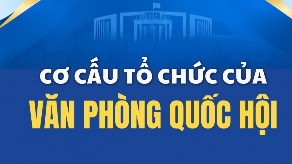 co-cau-to-chuc-van-phong-quoc-hoi-cover.png