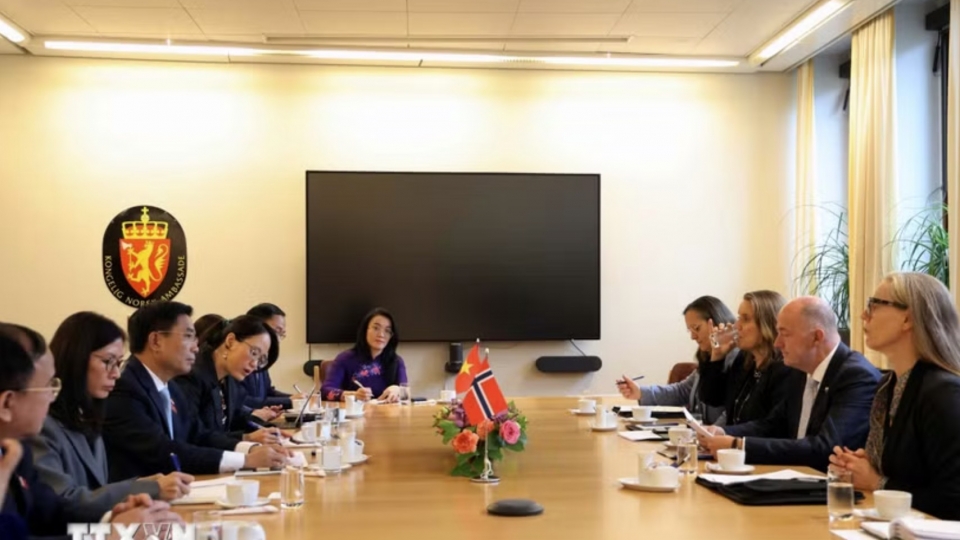 first-vice-chairman-of-the-national-assembly-nguyen-doan-anh-holds-talks-with-first-vice-president-of-the-storting-morten-stordalen.jpg